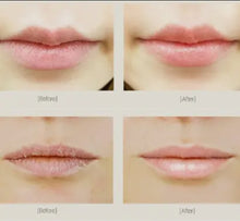 Load image into Gallery viewer, Fruida Vegan Essential Blending Lip Butter
