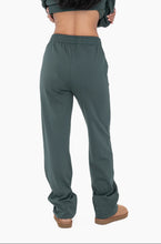 Load image into Gallery viewer, Mono B Fleece Lined Pants
