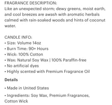 Load image into Gallery viewer, Milkhouse Candles Summer Storm Candle
